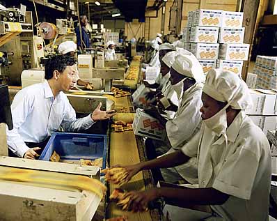 condom manufacturing plant cost